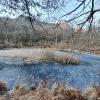 Biotopi - Losone
