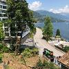Disbosco terreno - Brissago (2019)