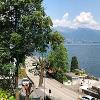 Disbosco terreno - Brissago (2019)