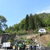 Disbosco terreno - Brissago (2019)