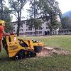 Fresatura ceppi - Losone