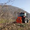 Esbosco con trattore, taglio deficitario Gaggioli a Losone - 2021