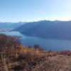 Piantagione sperimentale, Monti di Ronco s/Ascona