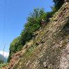 Lavori in corda per pulizia linea - Valle Onsernone